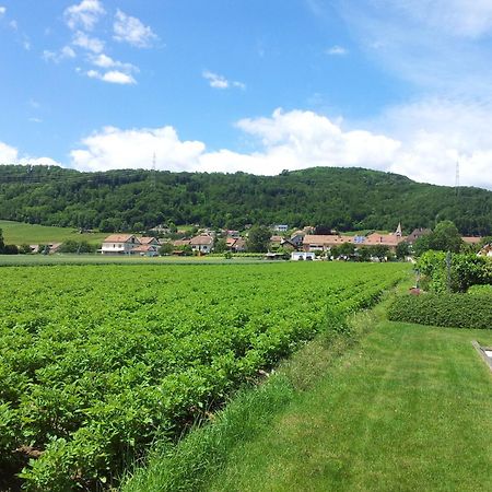 Au Coeur Du Vignoble Sur Bursins Bed & Breakfast Luaran gambar