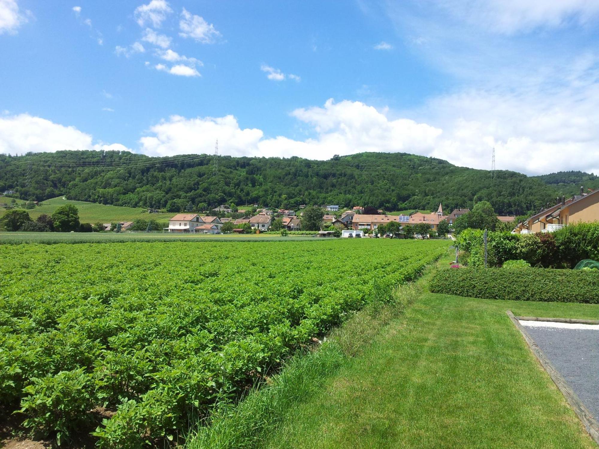 Au Coeur Du Vignoble Sur Bursins Bed & Breakfast Luaran gambar